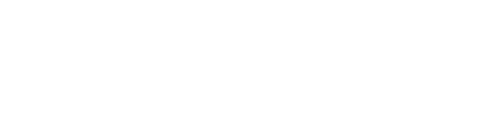 Camel+ Logo